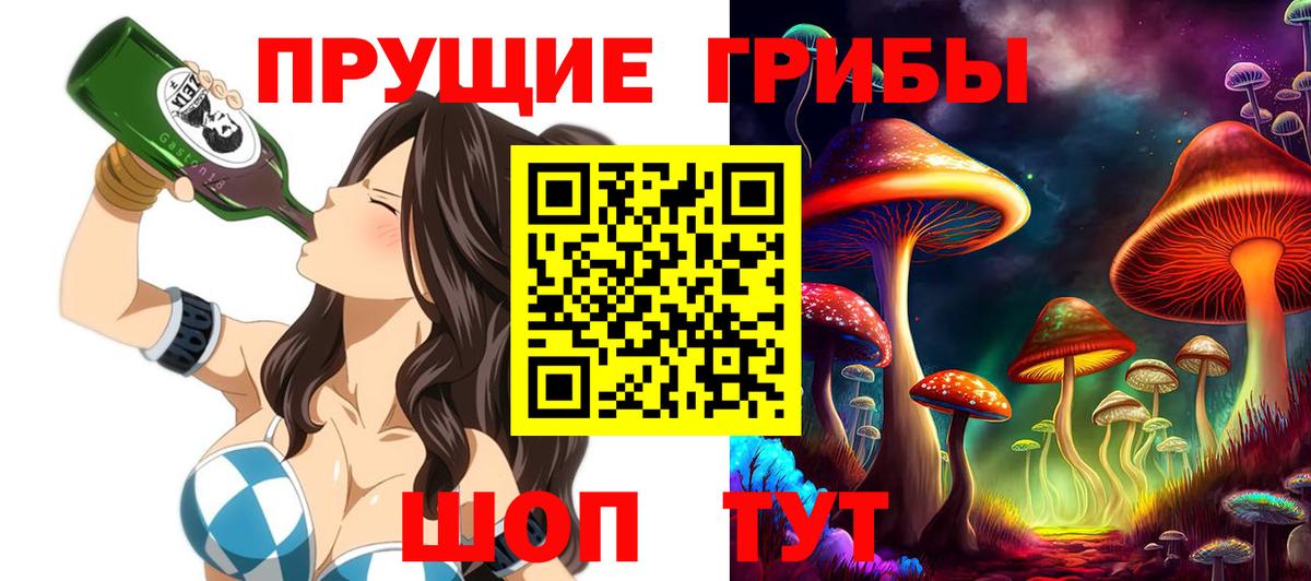 где купить наркотик  Псилоцибиновые грибы прущие грибы  Галлюциногенные грибы прущие грибы  Вход с VPN  Краснокаменск 